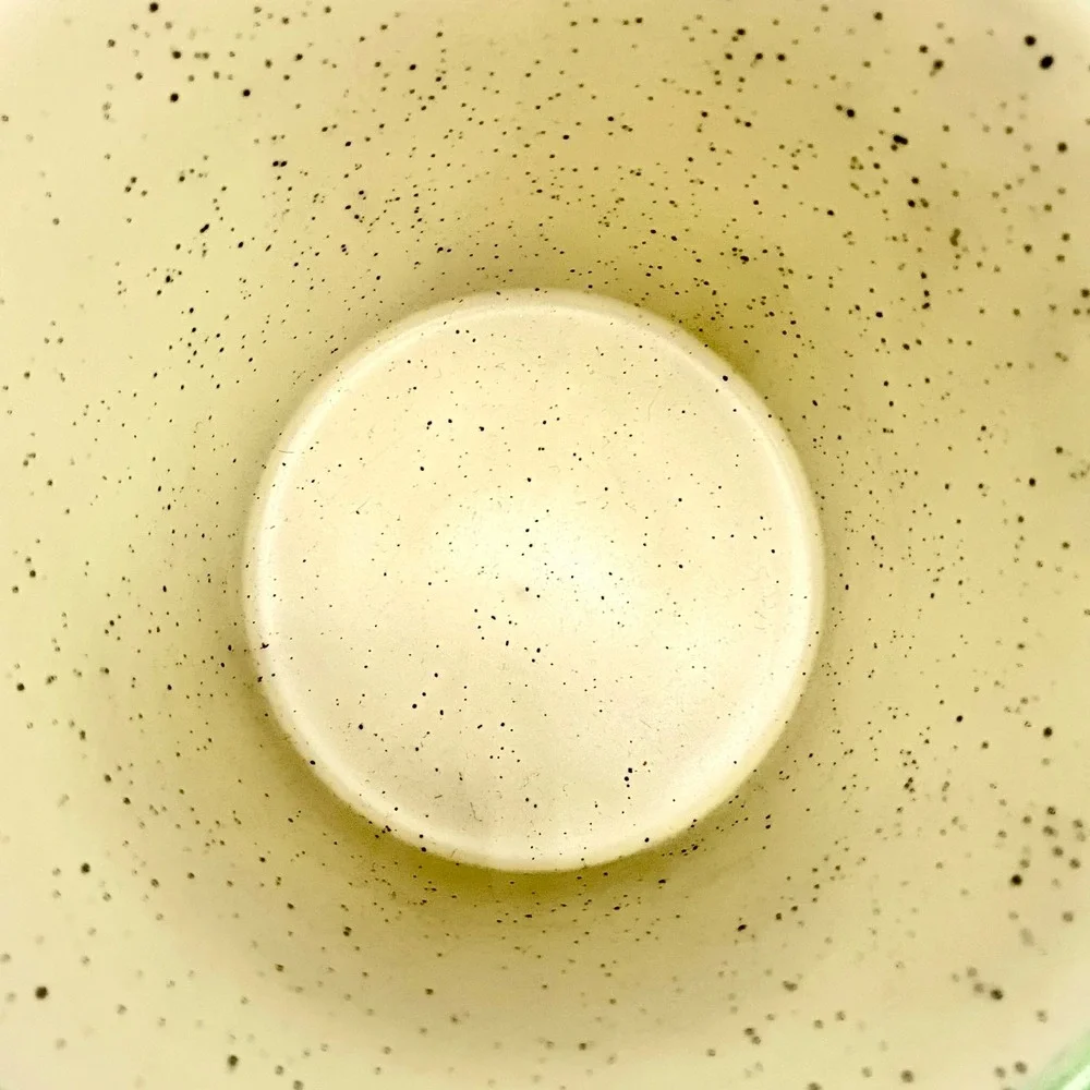 Eli + Ana Christmas Hummingbird Mugs Speckled Ceramic Set of 2 Green‎ Rim 2022